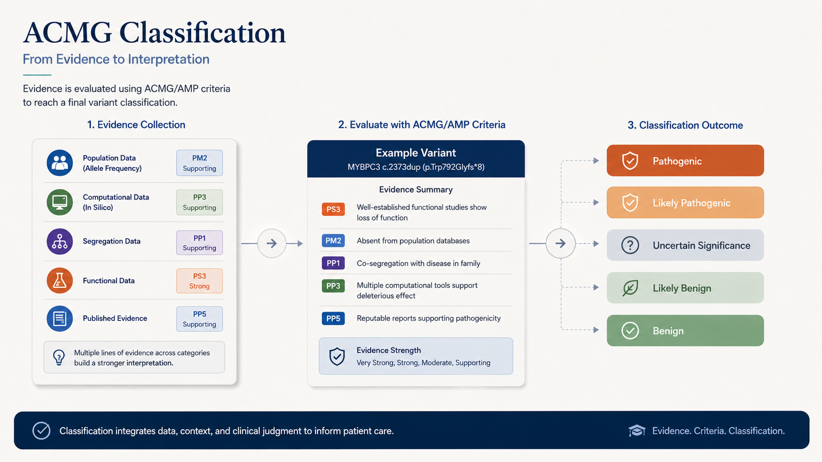 ACMG classification visual